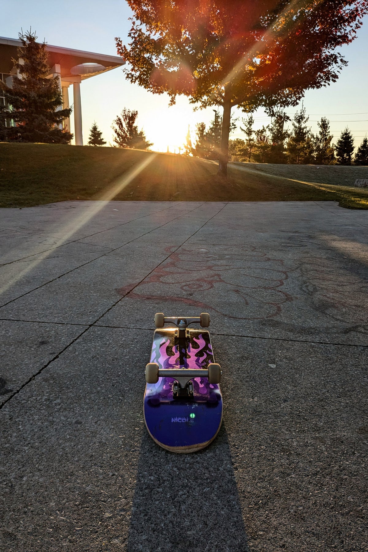 Skateboard with colorful design on a concrete surface at sunset