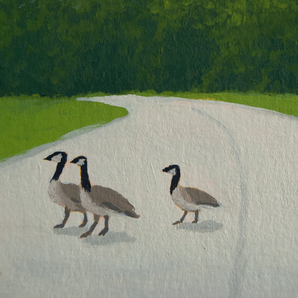 Three geese walking on a road with green fields and trees in the background