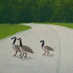 Three geese walking on a road with green fields and trees in the background